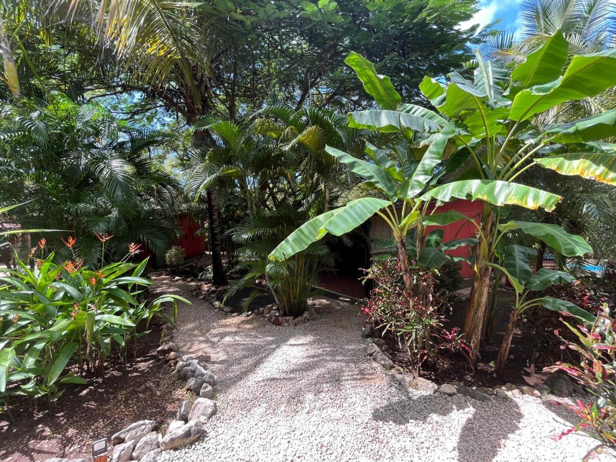 Casa Tropical Playa Grande Bed and Breakfast Cuajiniquil Exteriör bild